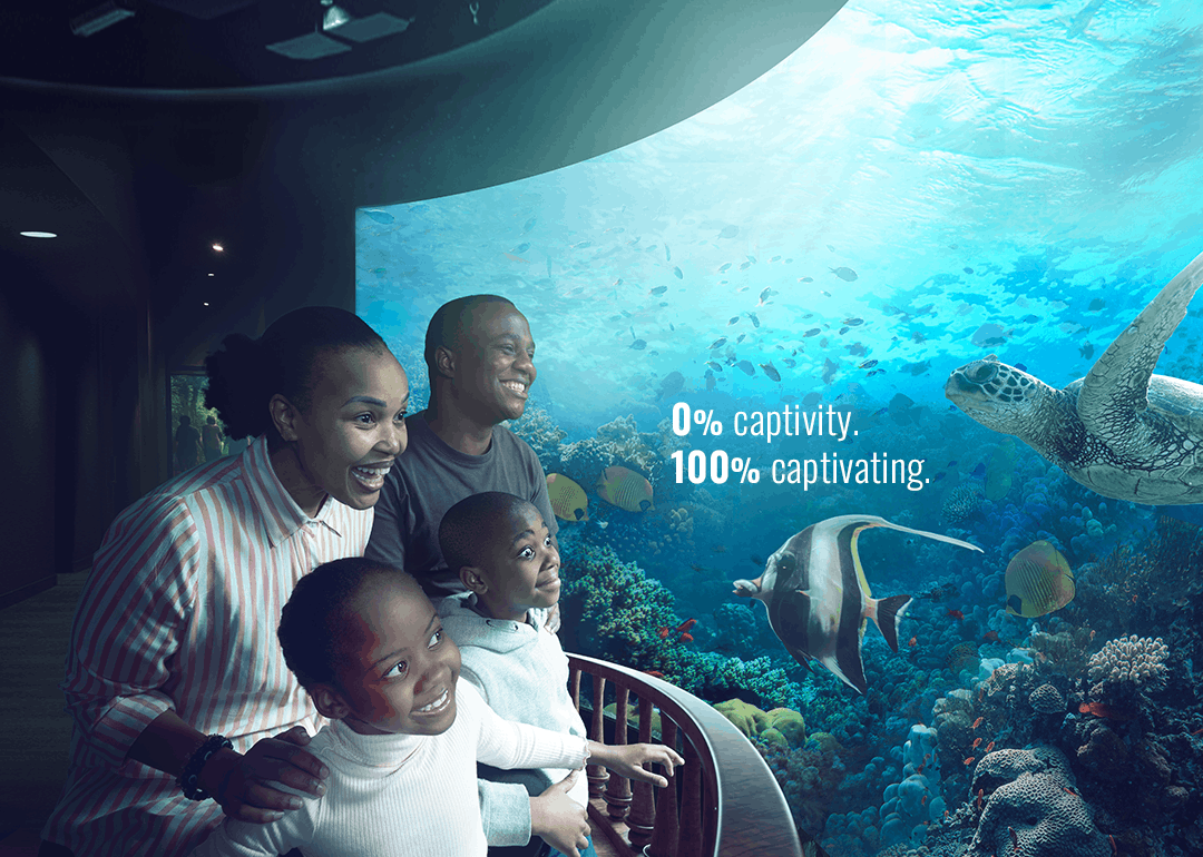 A diver operates a custom underwater 360° camera rig on an extended pole, capturing immersive footage in open ocean conditions.