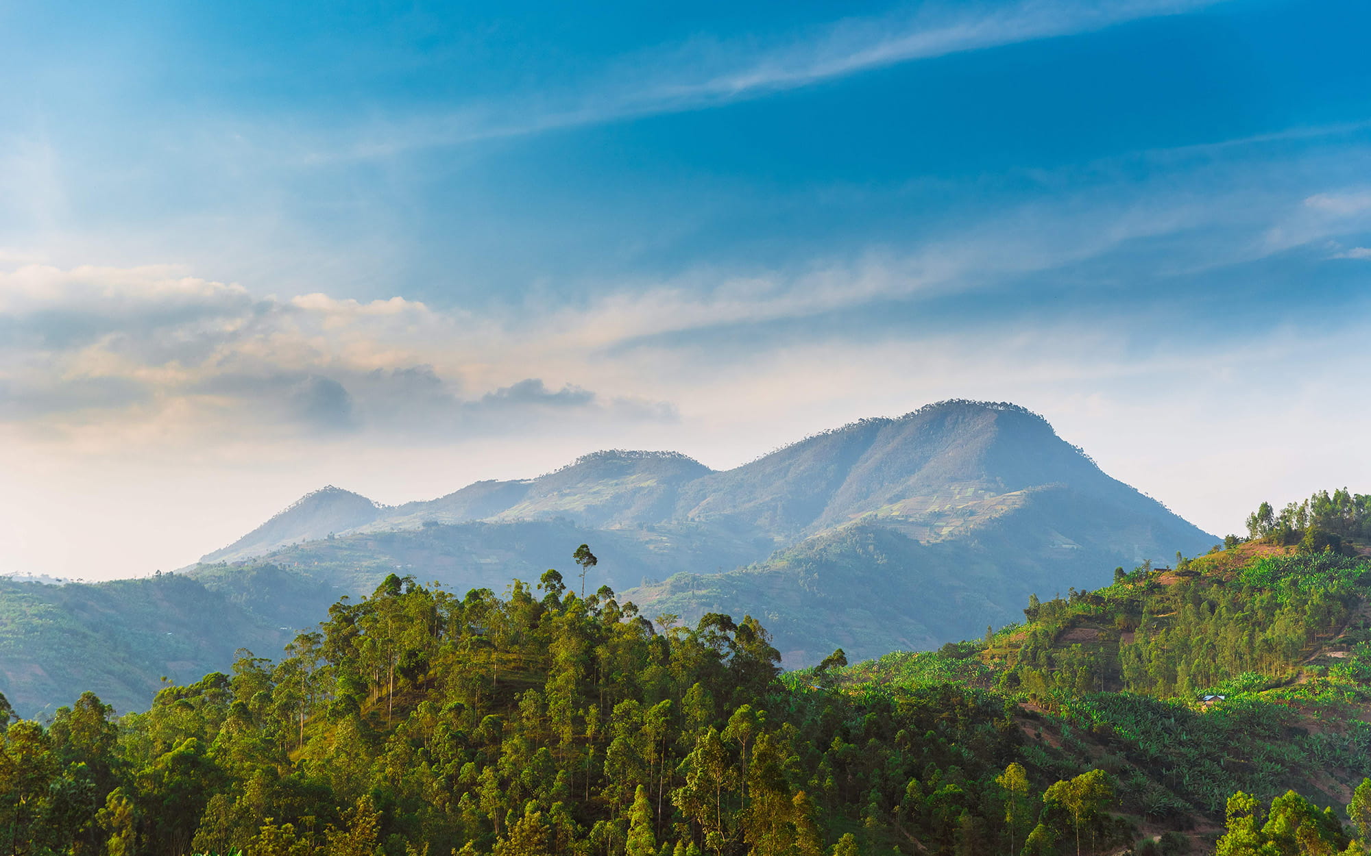 Lush green hills and forested mountains in Rwanda under a clear sky.