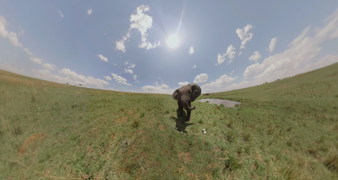 Man wearing augmented reality headset interacting with a holographic blue ant above his hand in a dimly lit room.