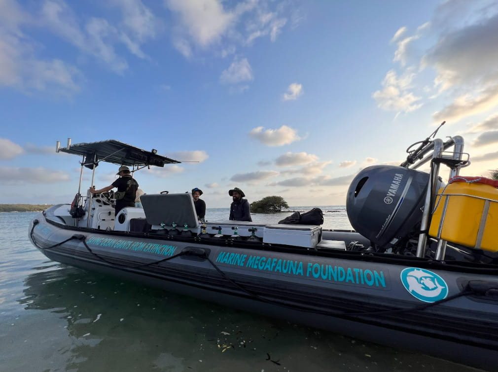 A Marine Megafauna Foundation research vessel carries a field team and filming equipment during a marine conservation and underwater 360 VR documentation mission.