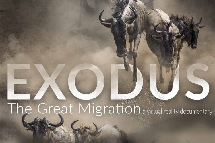 A herd of wildebeests in motion kicking up dust, with the title 'EXODUS The Great Migration a virtual reality documentary' overlayed.